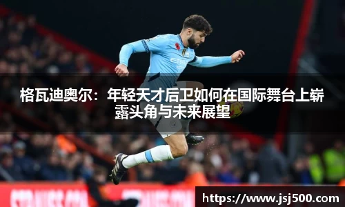 K1体育官方网站